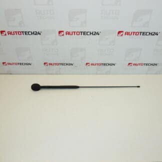 Antenne complète Citroën C3 Pluriel 6561R7 656197