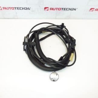 Faisceau d'antenne Citroën C3 Pluriel 964515948002 6561Q8