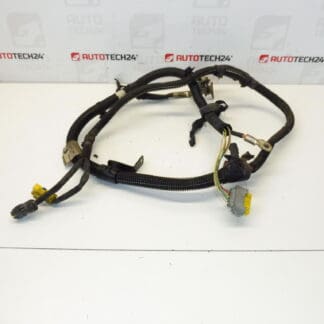 Faisceau Citroën Peugeot 2.0HDI RHR 9659747380 9664702980 9661639880 5642HR